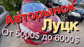 #АвторынокЛуцк Бюджетные Авто от 5000$ до 6000$