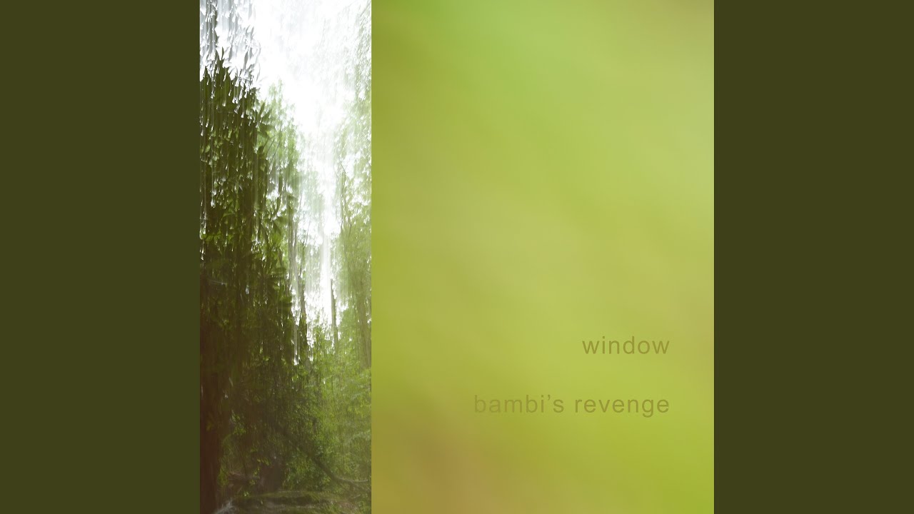 Mira window en YouTube Mira window en YouTube