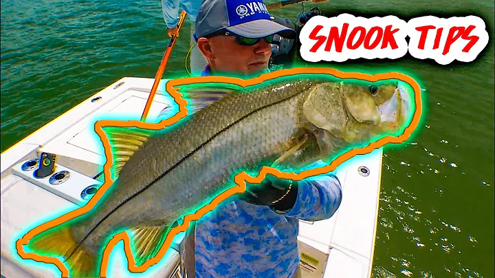 BEST Snook tips you'll ever hear!