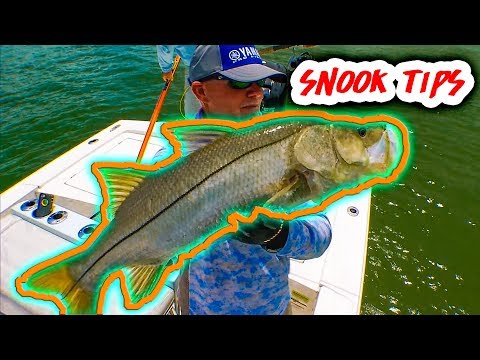 BEST Snook tips you'll ever hear!