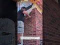 Master Brick Veneer Installation Like a Pro! #brickwork #masonry #construction