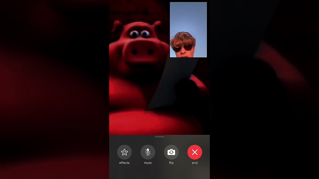 John Pork Is Calling Shorts