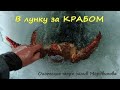 И снова ловим КРАБА (королевский краб). Охотское море, залив Мордвинова.