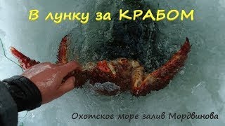 И снова ловим КРАБА (королевский краб). Охотское море, залив Мордвинова.