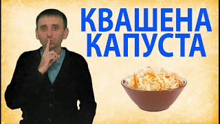 квашена капуста