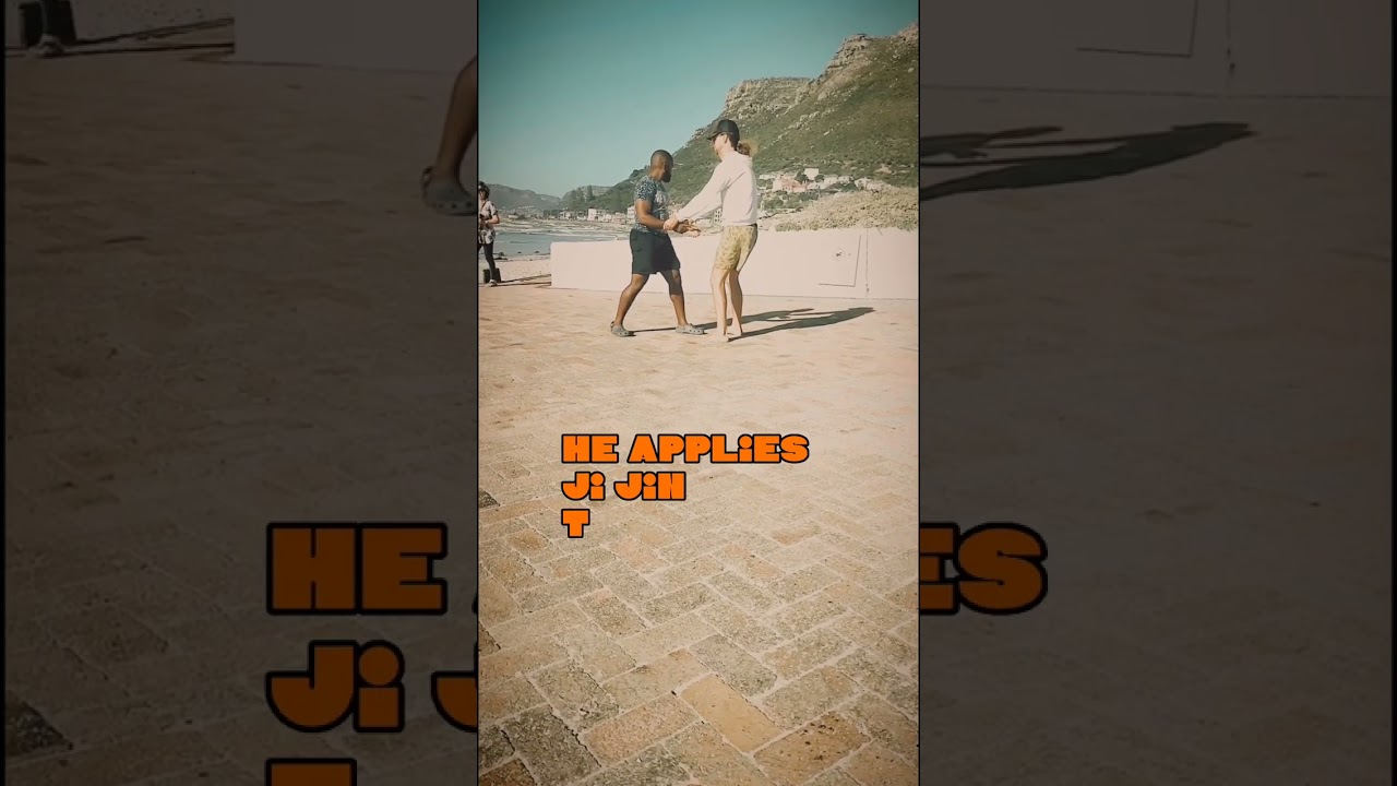 Taiji Quan Ji Jin | Tai Chi 