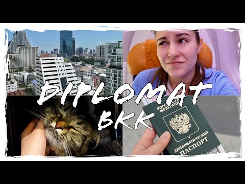 Первый ПЕРЕЛЕТ на