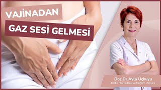 Vajinadan gaz sesinin gelmesinin sebebi nedir? Düzeltilebilir mi? Resimi