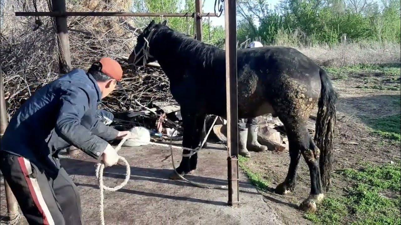 Купедегі секс видеосы Анальный порно фильм с большие жопы