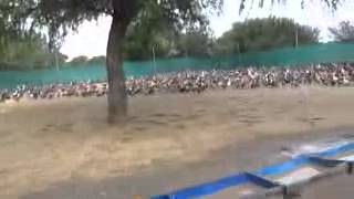 duck farming in rajasthan state