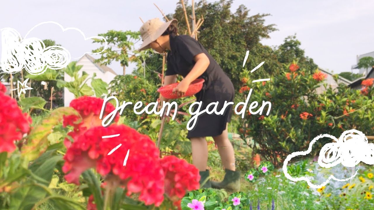 Life in the countryside| Caring for flowers in the garden, harvesting from vegetables and cooking 🥒🌼