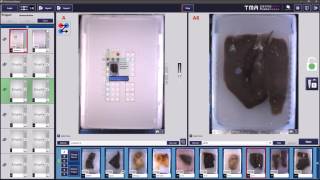 3DHISTECH - TMA Grand Master Video Tutorial Part2