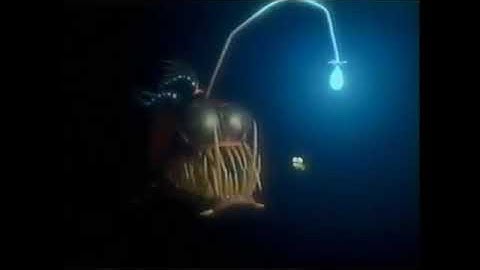 Closing To Finding Nemo 2003 VHS