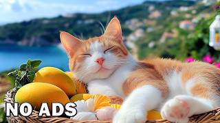 12 Hours of Relaxing Music for Cats 🐱 Gentle Piano to Calm Anxiety & Deep Peaceful Sleep screenshot 2