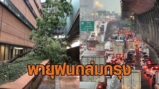 พายุฝนถล่มกรุง! ประตูต้นไม้ล้มเกลื่อนสภาหมื่นล้าน / ถ.บางนาตราด รถติดสะสม 25 กม.