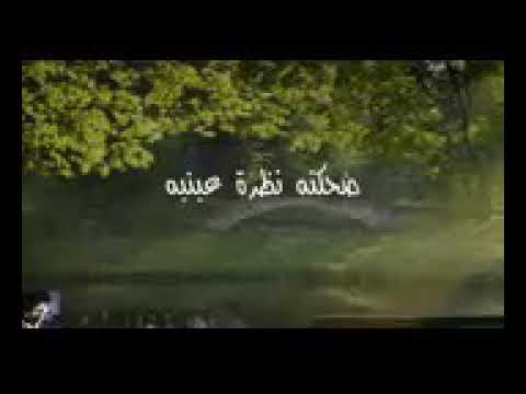 هو ده اللي حلمت بيه وحشتووووووووني