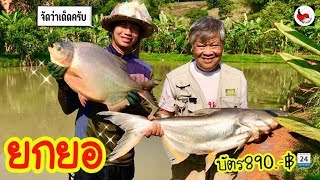 ยกยอ บ่อลุงชัย ►Fishing lifestyle Ep.341