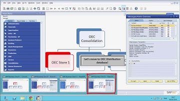 SAP Business One Intercompany: G/L Branch Allocation