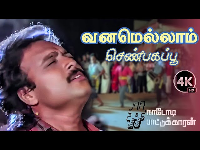 வனமெல்லாம் செண்பகப்பூ Vanamellam Shenbagapoo Song HD Video Song #4k  Remastered 5.1 class=