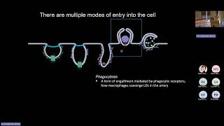 Advancing Cardiovascular Research Through Multiscale Innovation: Emerging Models and Targets in CVD