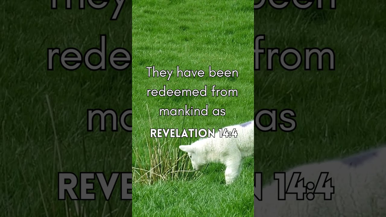 Revelation14:4  