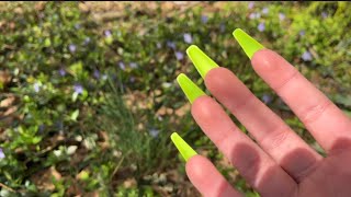 Tingly Tapping & Scratching Around Outside - ASMR No Talking