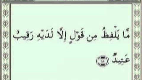 سورة ق - بصوت الشيخ / اسامه المنتظر