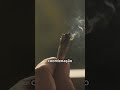 COMO A MACONHA ALTERA SEU CÉREBRO E MUDA SUA PERCEPÇÃO COMO A MACONHA ALTERA SEU CÉREBRO E MUDA SUA PERCEPÇÃO