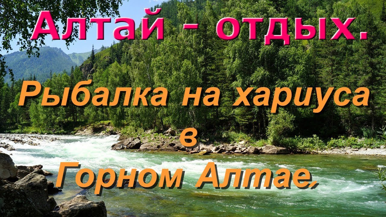 Алтай - отдых. Рыбалка на хариуса в Горном Алтае.