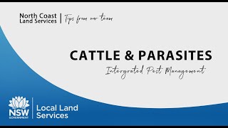 Tips dari Tim Kami - Ternak & Parasit