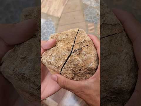 Vídeo: Você pode ter duas pedras de nascimento?