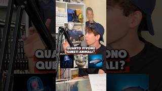 Secondo Voi Quanto Vivono?
