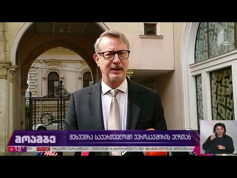 შეხვედრა საქართველოში ევროკავშირის ელჩთან