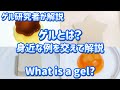 【ゲル研究者が解説】ゲルとは?- 身近な例を交えて説明(What is a gel?)