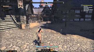 ESO Glitches & Bugs: Infinite Sprint