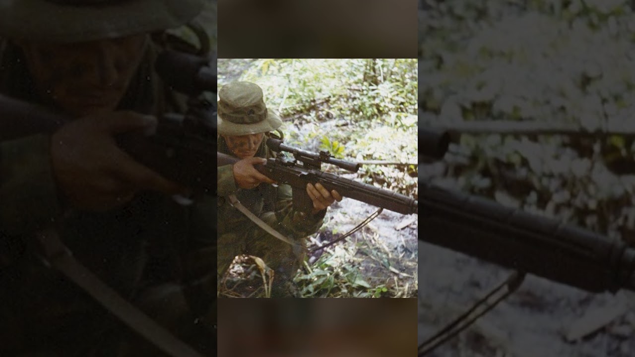 M21 Sniper Rifle - The American Weapons of the Vietnam War - YouTube