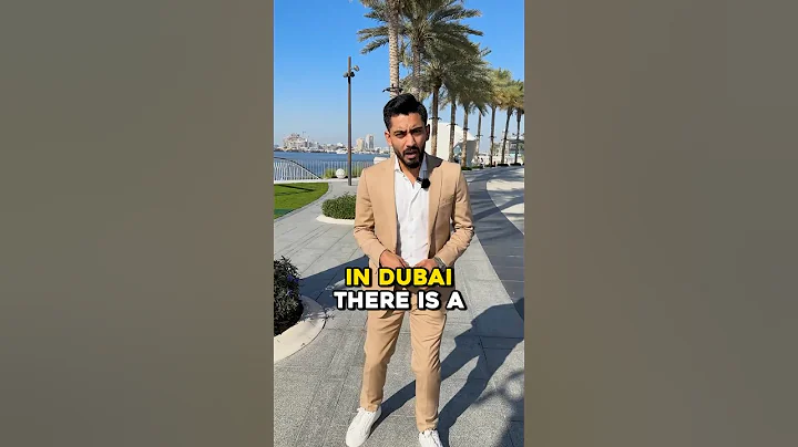 Why people in dubai all become real estate agents #dubai #dubairealestate #dubairealtor #realtorduba