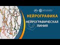 Нейрографика | нейролиния