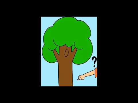 ეს როგორია?