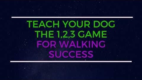 1, 2, 3, Pattern Game | Dog Walking Skills | Control Unleashed