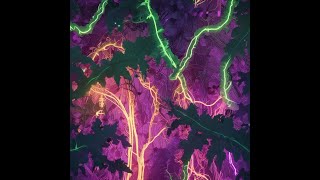 Neon Vines In The Wild - Uncopyrighted Music