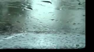 Watch Grateful Dead Early Morning Rain video