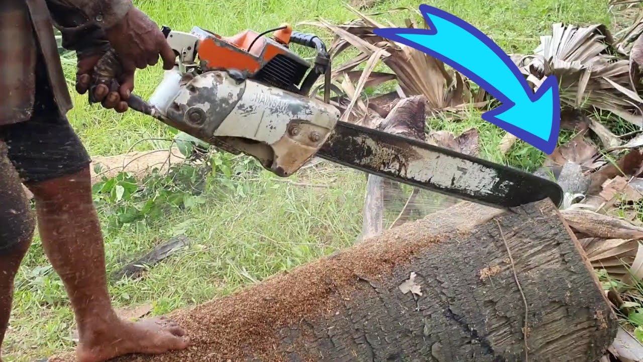 Equipment Machinery STIHL Chainsaw VS Palm Tree - YouTube