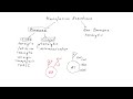 Transfusion Reactions #1: Introduction to Transfusion Reactions