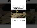 マクドナルドが店名を隠して店をオープンした結果…#雑学 #おもしろ