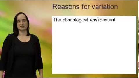 Morphemes and allomorphs