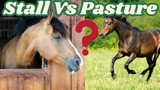 Stalling  Horses vs 24/7 Turnout: The Truth About Both