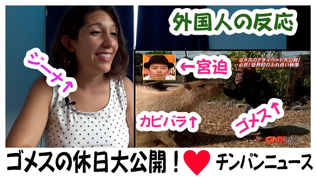 Foreigners' reactions] The Chimpan News special was great