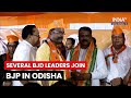 Several bjd leaders and supporters joins bjp in presence of dharmendra pradhan in odisha