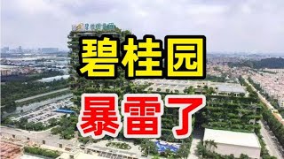 碧桂园也爆雷，后果可能比恒大更严重，创始人积极自救，路在何方